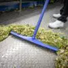 A blue broom sweeping up lettuce scraps.